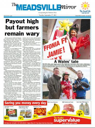 The Meadsville Mirror cover